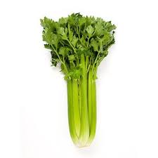 Celery P-Kg